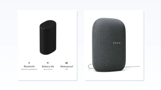Portable Smart Speaker or Plug-In: Match Where You'll Use It