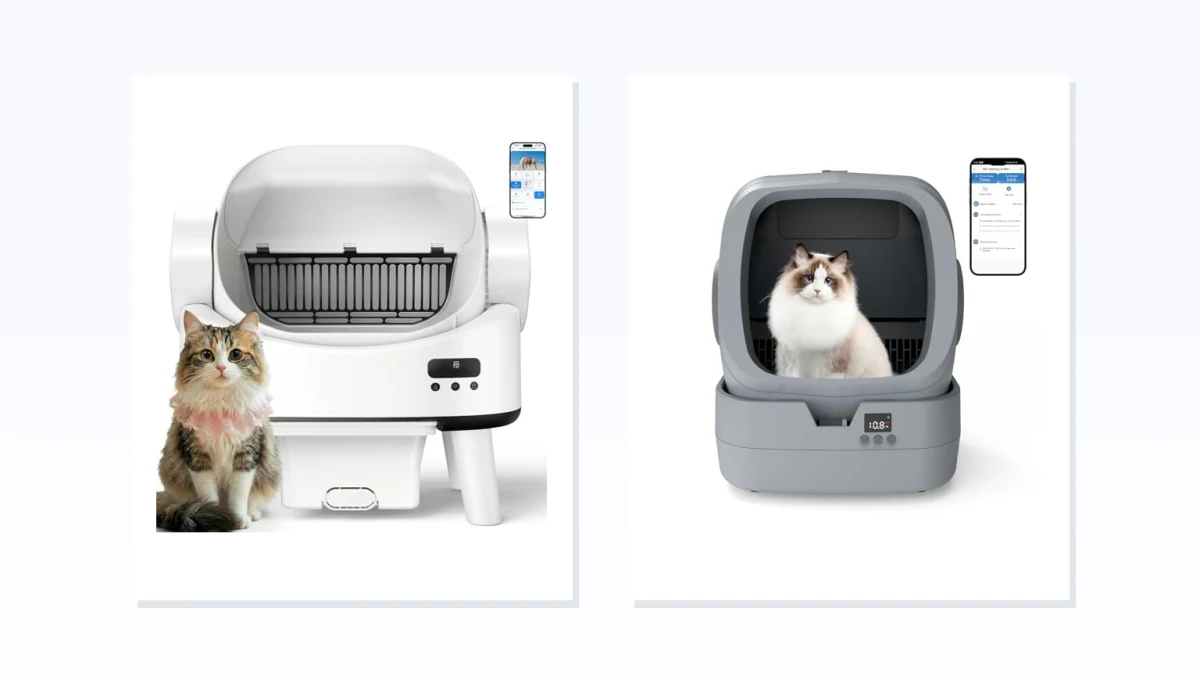 Rake vs Rotating Drum Self-Cleaning Litter Boxes: Which Fits Your Cat and Home?