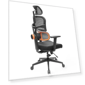 Ergonomic Chair with Adaptive Lower Back Support — Desk Chairs, NEWTRAL