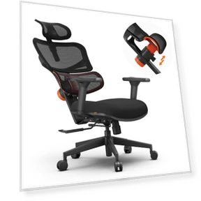 Ergonomic Chair with Adaptive Lower Back Support — Desk Chairs, NEWTRAL
