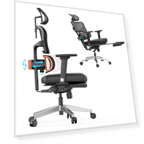 Ergonomic Chair with Adaptive Lower Back Support and Footrest — Desk Chairs, NEWTRAL