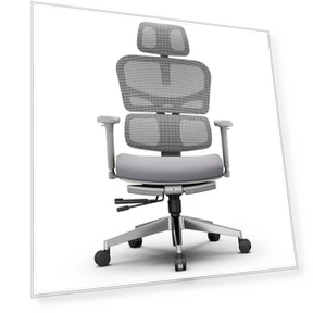 Ergonomic Chair with Adaptive Lower Back Support — Desk Chairs, NEWTRAL
