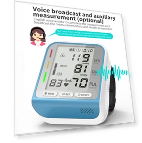 Automatic Electronic Blood Pressure Monitor Wrist Type — Blood Pressure Monitors