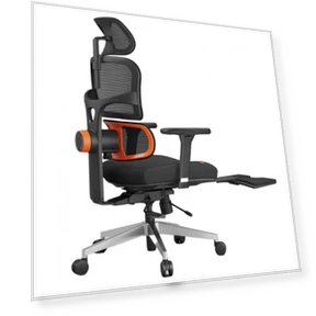 Ergonomic Chair with Lumbar Support, Adjustable Armrest, Headrest, Footrest, 4D Mesh — Desk Chairs, NEWTRAL