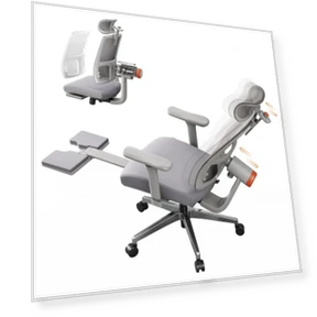 Ergonomic Chair with Footrest, Auto-Following Backrest Headrest, Adaptive Lower Back Support - Gray — Desk Chairs, NEWTRAL