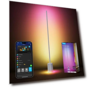 Floor Lamp — Standing Lights, Govee