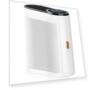 Air Purifier for Home Large Room — Activated Carbon Air Purifiers, AROEVE