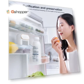 Deodorizing Box Air Purifier — Activated Carbon Air Purifiers