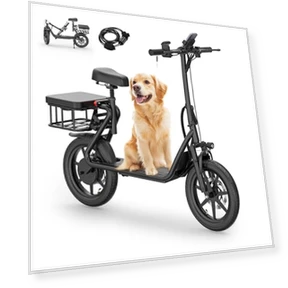 Electric Scooter with Seat — Electric Vehicles, NAVIC