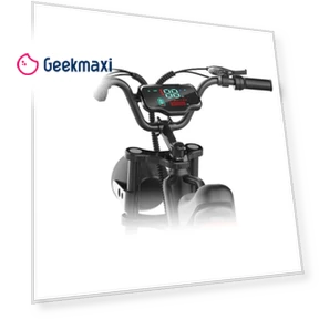 20 Inch Tire Retro Electric Bike — Electric Self-Balancing Scooters, Happyrun
