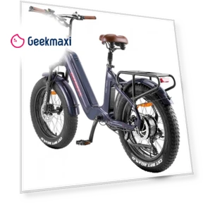 Electric Bike — Electric Self-Balancing Scooters, Fafrees
