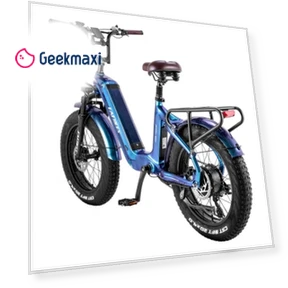 Electric Bike — Electric Self-Balancing Scooters, Fafrees