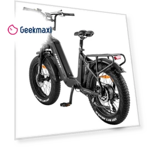 Electric Bike — Electric Self-Balancing Scooters, Fafrees