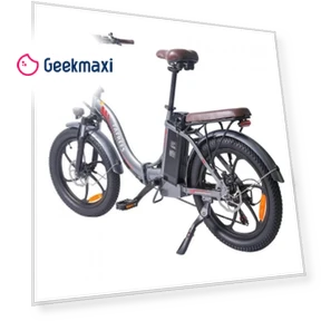 20 Inch Tires Foldable Commuter Electric Bike — Electric Self-Balancing Scooters, Fafrees