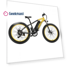 Electric Bike — Electric Vehicles, GOGOBEST
