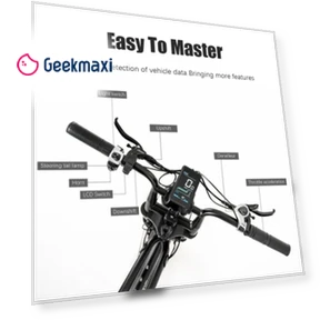 Electric Bike — Electric Self-Balancing Scooters, CMACEWHEEL
