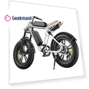 Electric Bike with Dual 13Ah Battery — Batteries, ENGWE