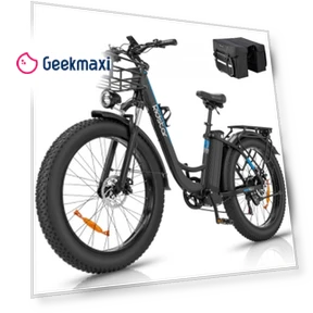 Electric Bike — Electric Vehicles, Ridstar