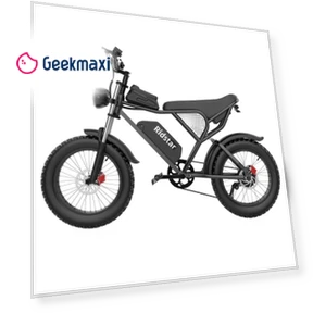 Electric Bike — Electric Vehicles, Ridstar