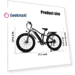 Electric Bike — Electric Self-Balancing Scooters, CMACEWHEEL