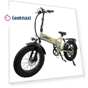 Foldable off-road Electric Bike — Electric Vehicles, PVY