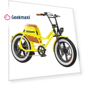 Electric Bike — Electric Self-Balancing Scooters, Hidoes