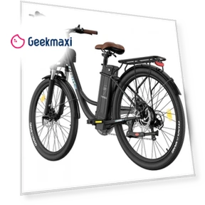 Lasting Electric Bike — Electric Self-Balancing Scooters, Fafrees