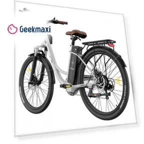 Lasting Electric Bike — Electric Self-Balancing Scooters, Fafrees