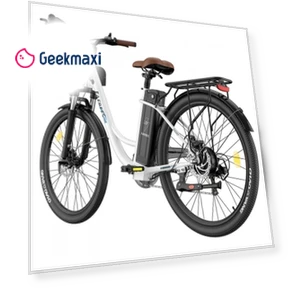 Lasting Electric Bike — Electric Self-Balancing Scooters, Fafrees