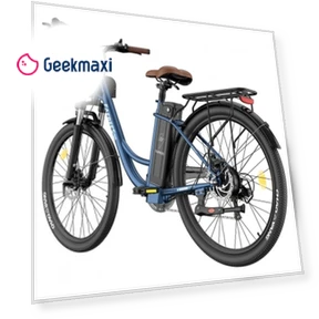 Lasting Electric Bike — Electric Self-Balancing Scooters, Fafrees