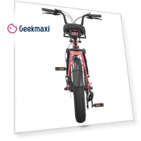 Electric Bike — Electric Self-Balancing Scooters, PVY