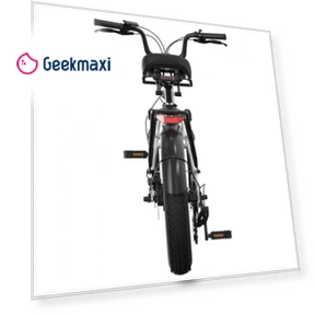 Electric Bike — Electric Self-Balancing Scooters, PVY