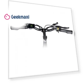 Step-thru E-Bike Trekking Bike — Electric Vehicles, Myatu