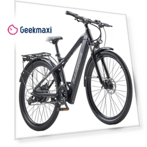 Electric Bike — Electric Vehicles, RANDRIDE
