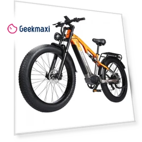 Electric Bike — Electric Vehicles, RANDRIDE