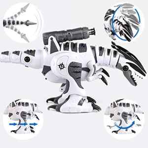 Interactive Dinosaur Robot, Dollox