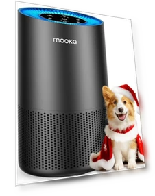 True HEPA Air Purifier for Large Rooms — Activated Carbon Air Purifiers, Mooka