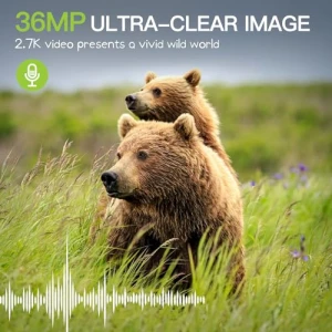 Trail Camera 2 Pack, Punvoe