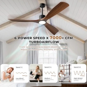 Smart Ceiling Fan with Light — Smart Fan, BOOSANT