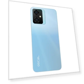 Tiger 10 4G Smartphone — Mobile Devices & Accessories, OSCAL