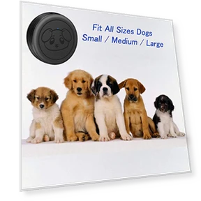 Smart Wireless Dog Doorbells for Potty Training — Doorbells, EverNary