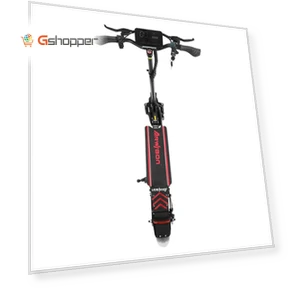 Electric Scooter — Electric Self-Balancing Scooters