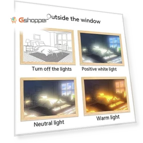 Light Painting Decorative Piece — Lighting Accessories