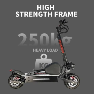 Electric Scooter — Electric Scooter, Fieabor