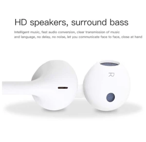 Lightning Earphones for iPhone with Bluetooth Microphone