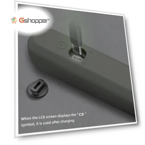 Combustible Gases Leak Detector — Gas Safety Equipment, BSIDE