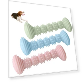 Teething Toy Chewing Dog Toothbrush Toy — Toys