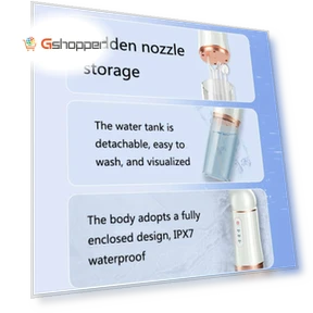 Electric Portable Tooth Cleaner — Power Flossers