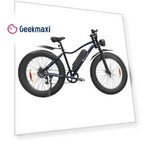 Electric Bike — Electric Vehicles, isinwheel