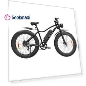 Electric Bike — Electric Vehicles, isinwheel